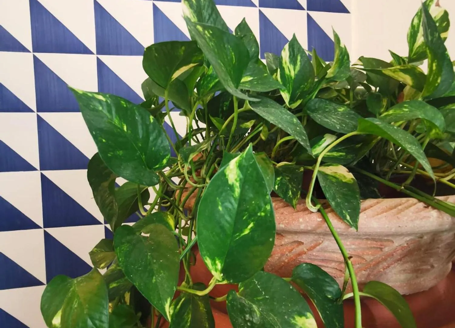 Apartment 'A Casetta - Sferracavallo Palermo